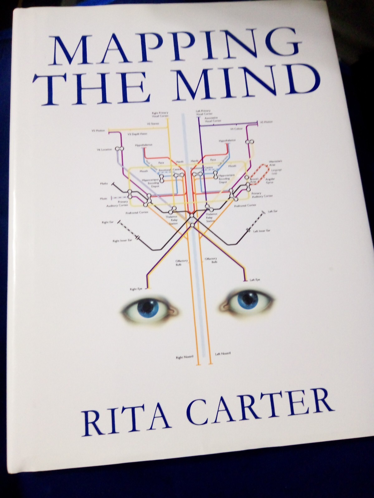 Mapping the Mind – Hardcover By Carter, Rita – GOOD