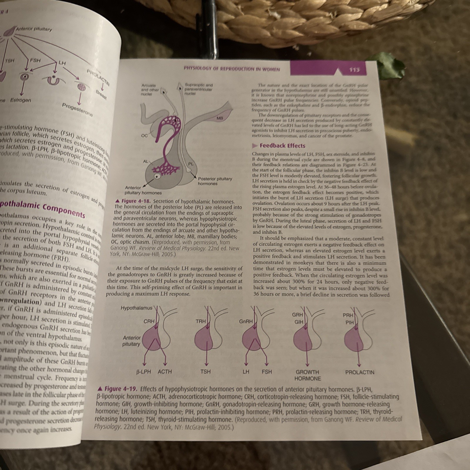 Current Diagnosis & Treatment Obstetrics & Gynecology, 11 Ed by Lauren Nathan