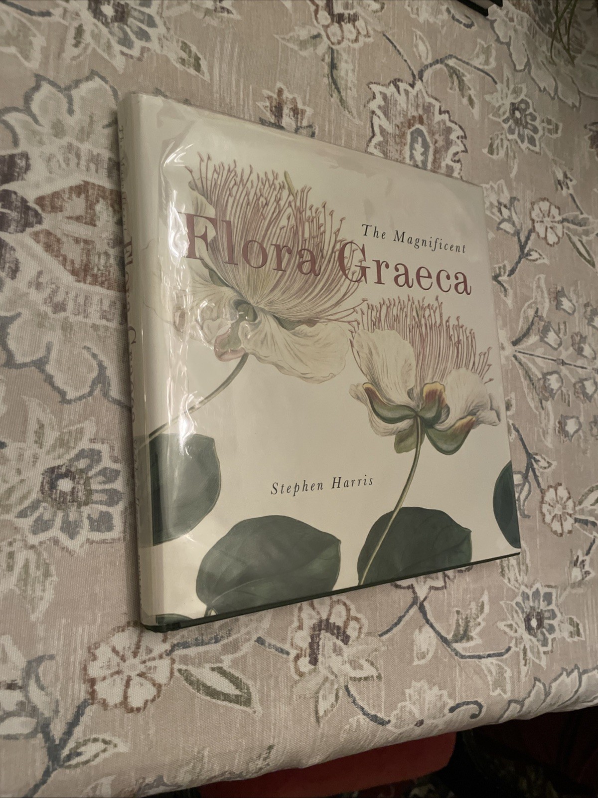 The Magnificent Flora Graeca : How the Mediterranean Came to the English