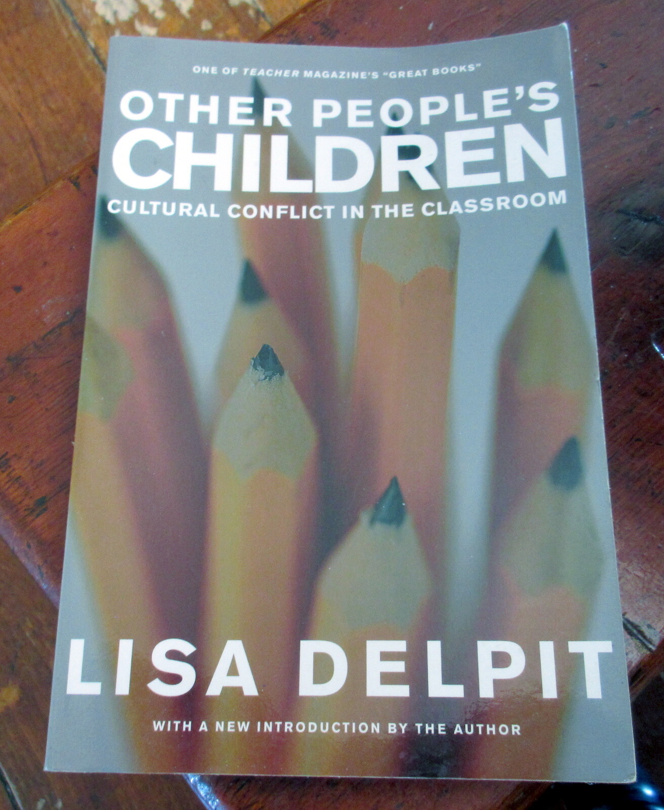Lisa Delpit “Other People’s Children” softcover – LIKE NEW
