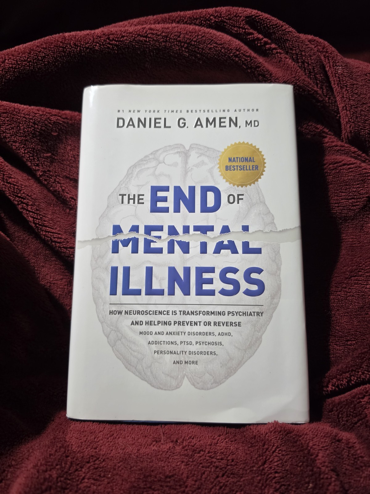 The End of Mental Illness: How Neuroscience Is Transforming Psychiatry