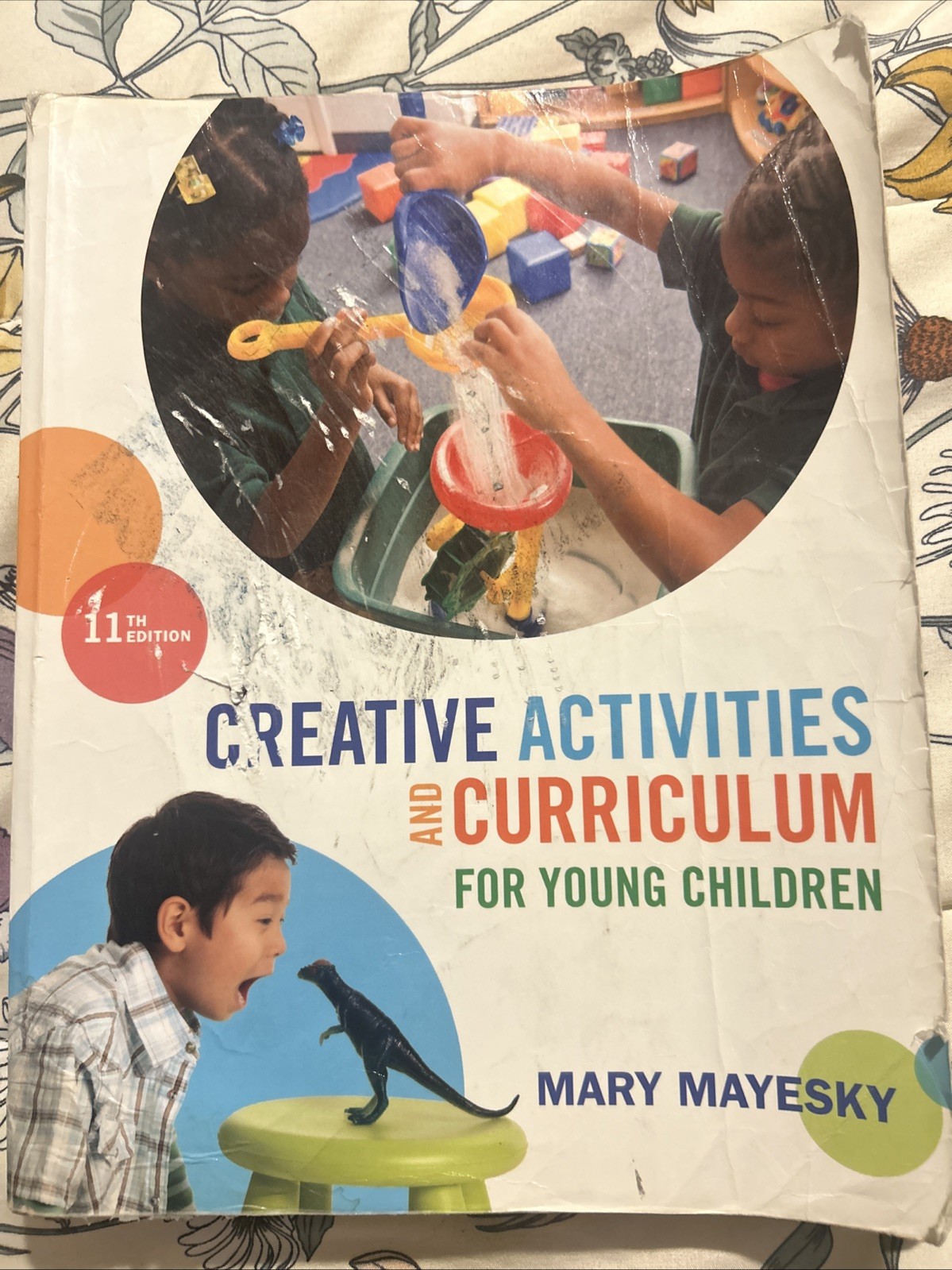 Creative Activities and Curriculum for Young Children by Mary Mayesky (2014)