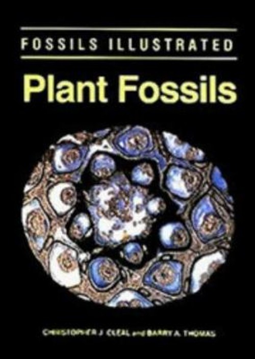 Plant Fossils : The History of Land Vegetation Hardcover