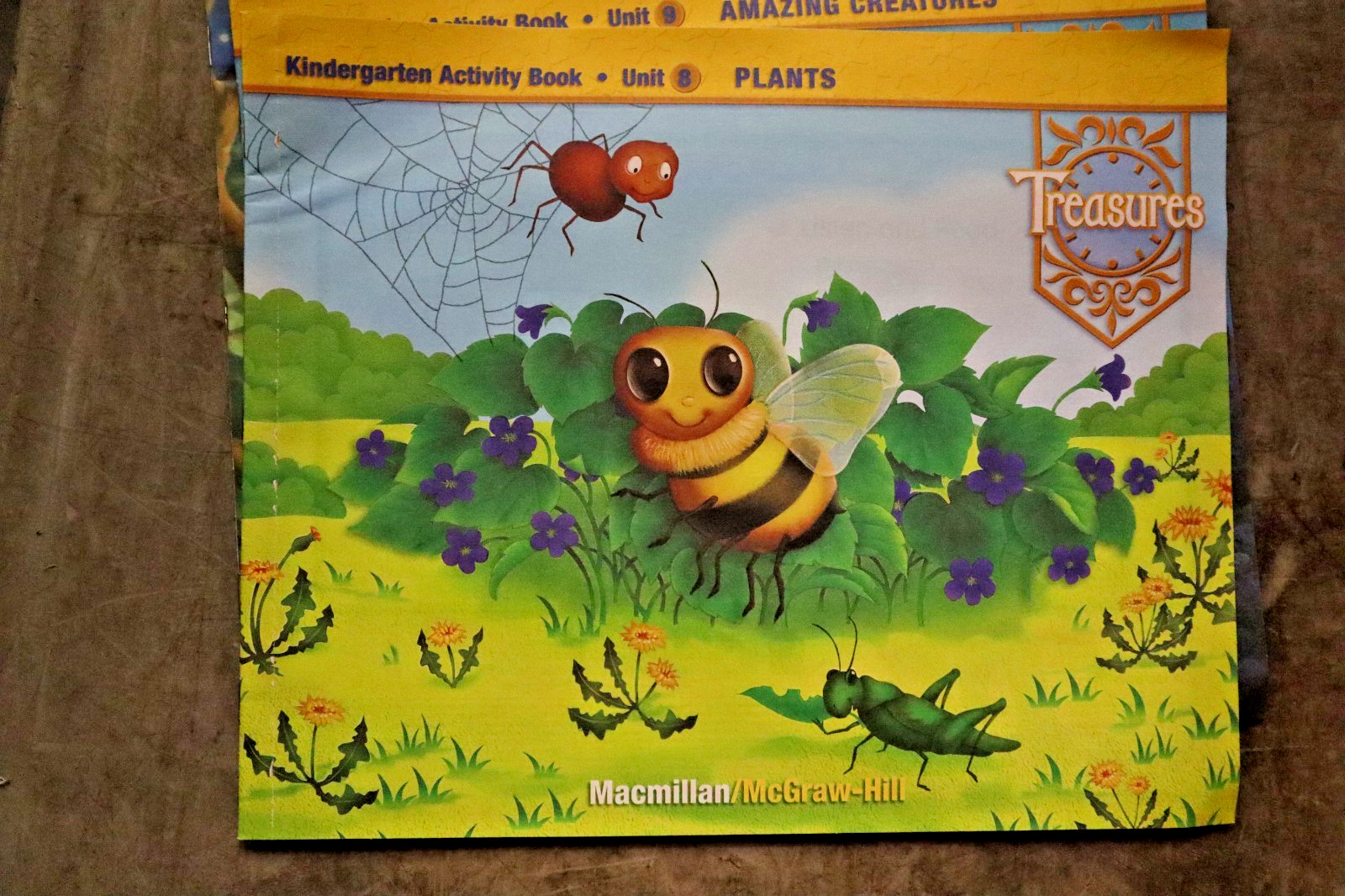 Treasures: Kindergarten Activity Books Units 1-10 + Start Smart ‘WE ARE SPECIAL’