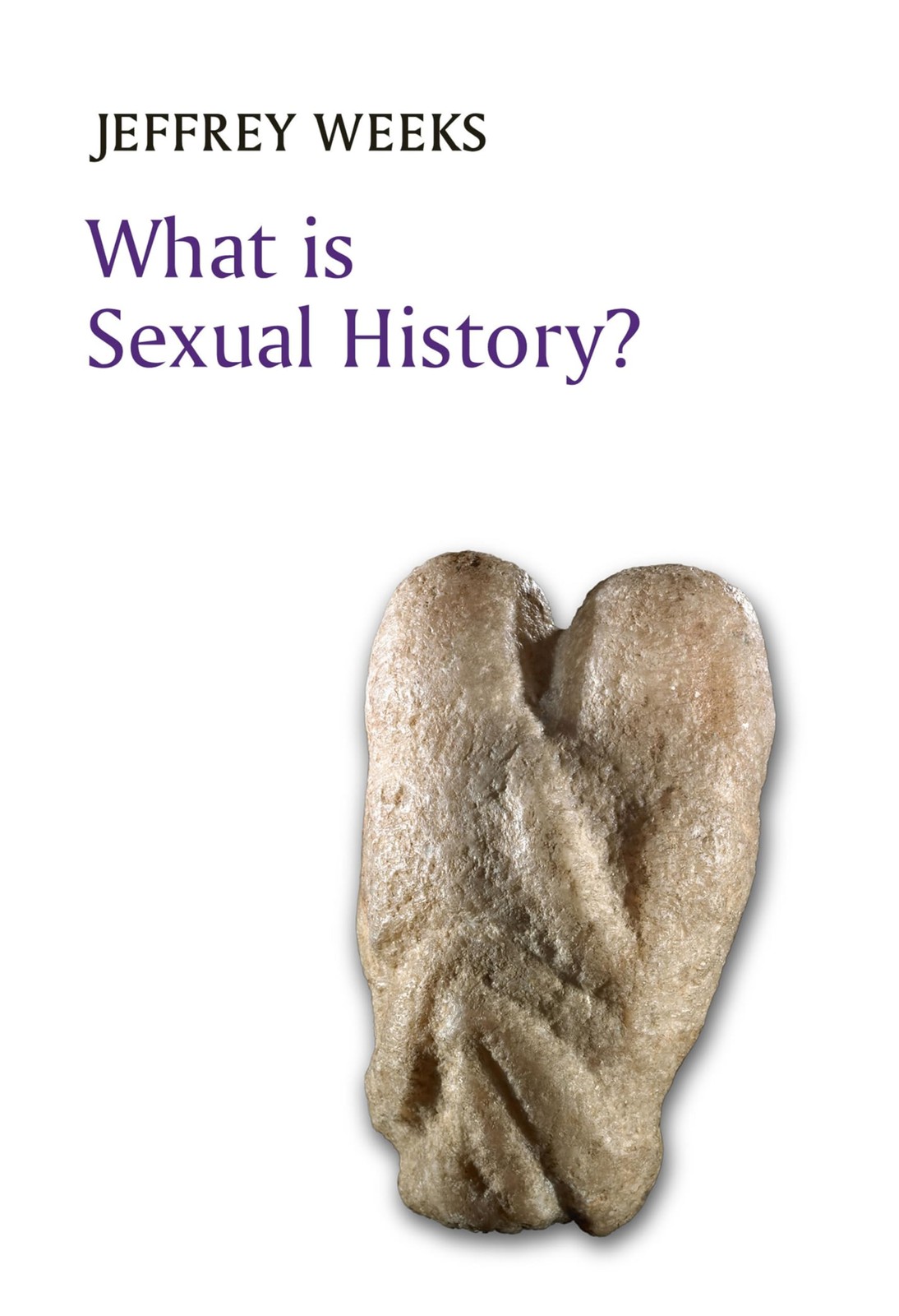 What is s**ual History? (What is History?) By Weeks, Jeffrey Jef