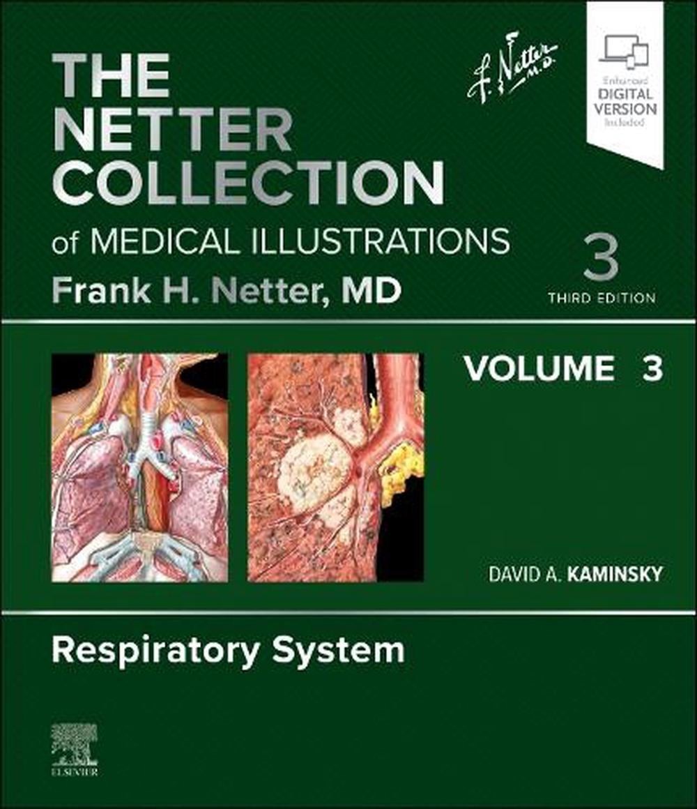 The Netter Collection of Medical Illustrations: Respiratory System, Volume 3 by