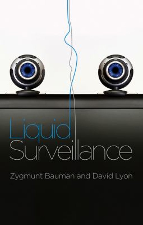 Liquid Surveillance : A Conversation Paperback Zygmunt, Lyon, Dav