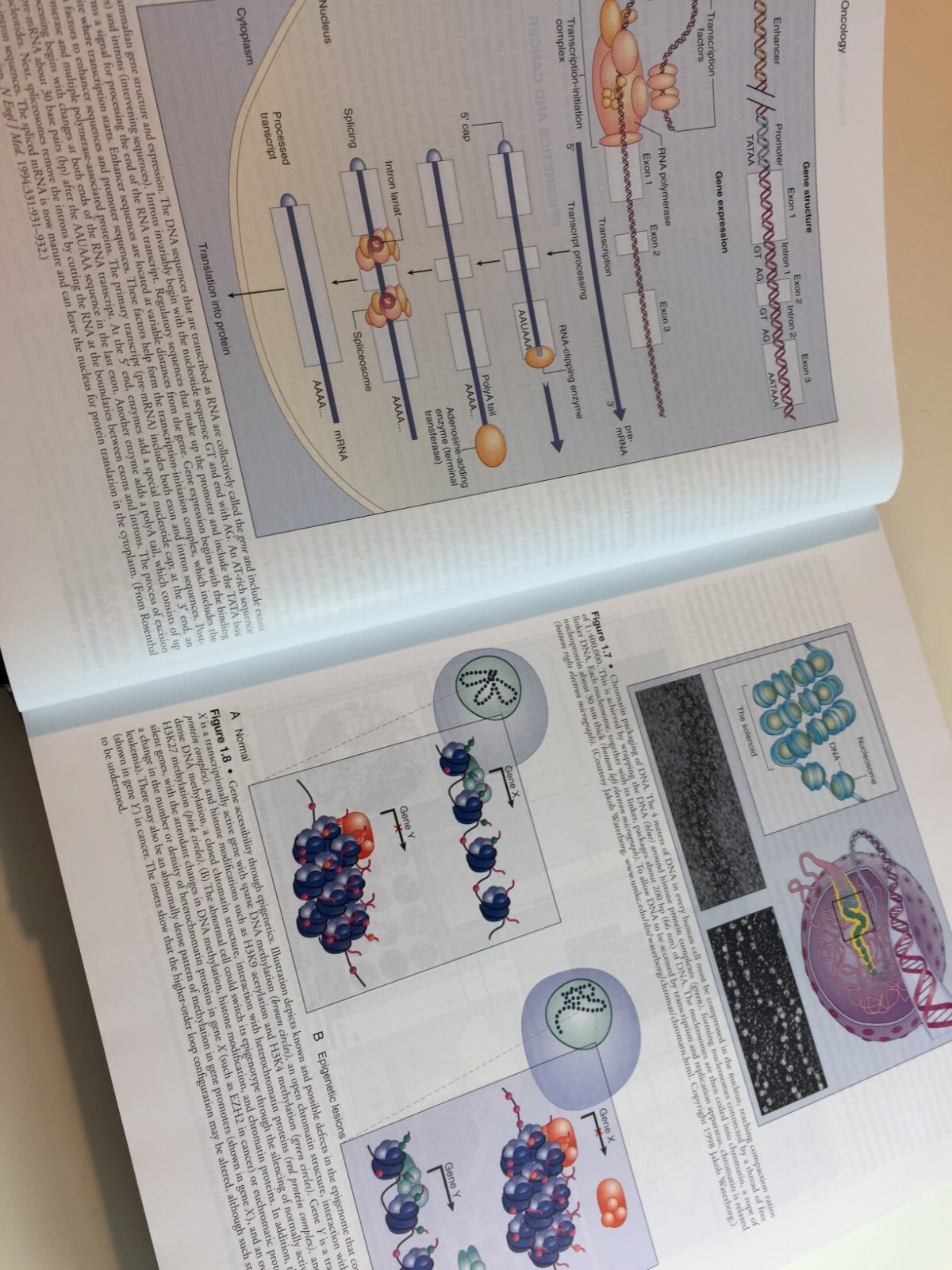 Abeloff’s Clinical Oncology