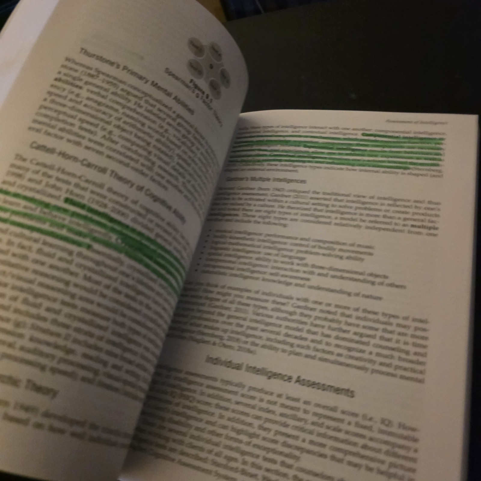 Assessment in Counseling: Procedures and Practices By Danica G. Hays 7th Edition