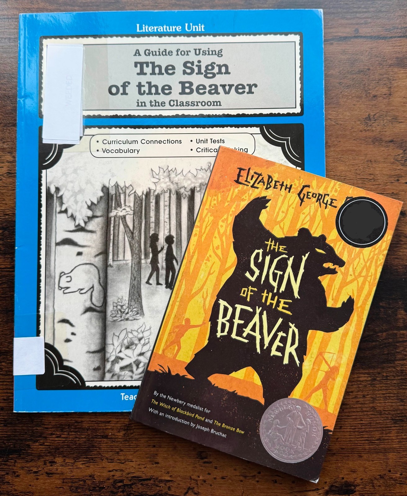 A Guide for Using The Sign of the Beaver by Elizabeth G. Speare Novel Set Gr 3-5