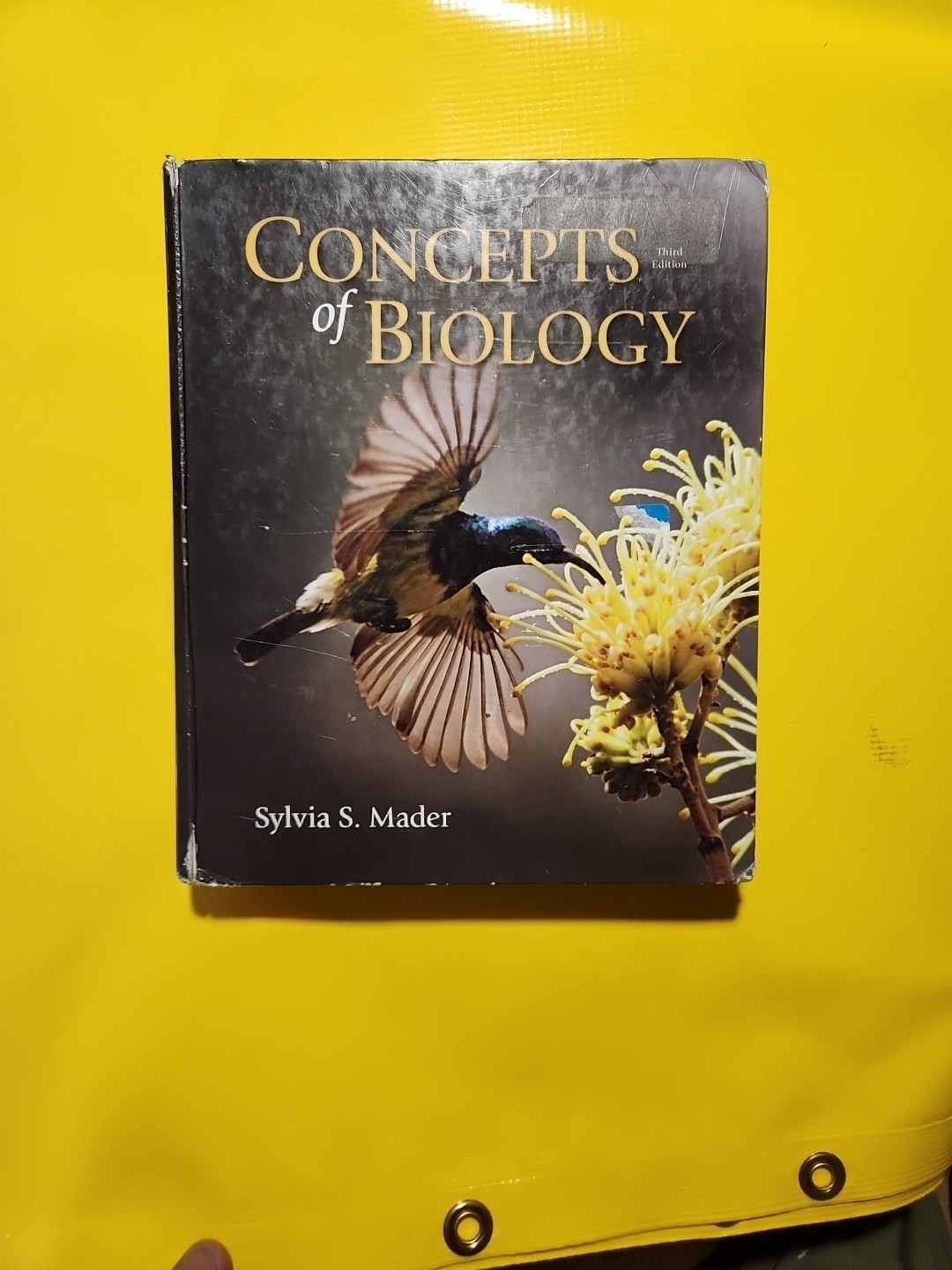 Concepts of Biology by Sylvia S. Mader (2013, Hardcover)