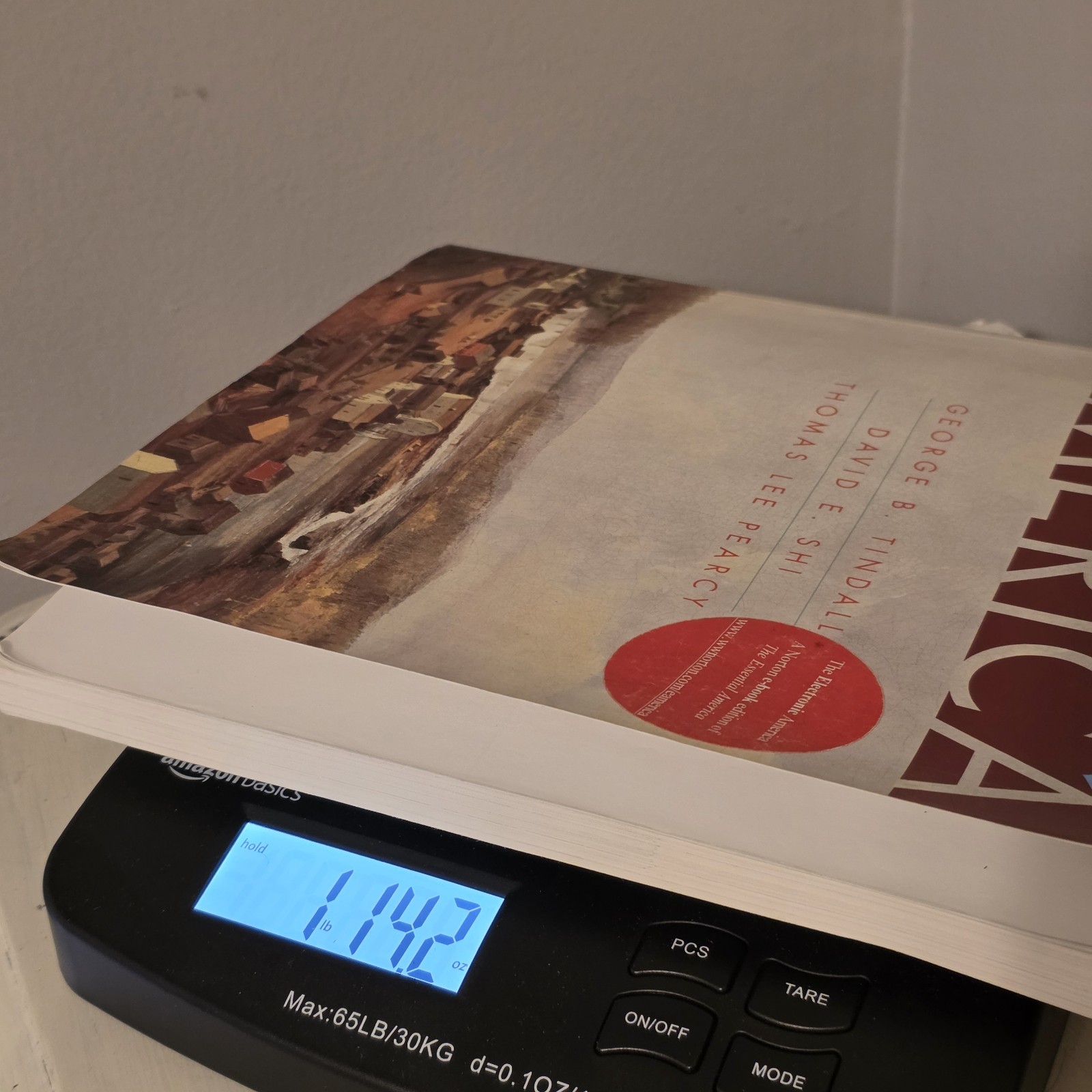 Essential America by George B. Tindall, Thomas Lee Pearcy and David E. Shi PB