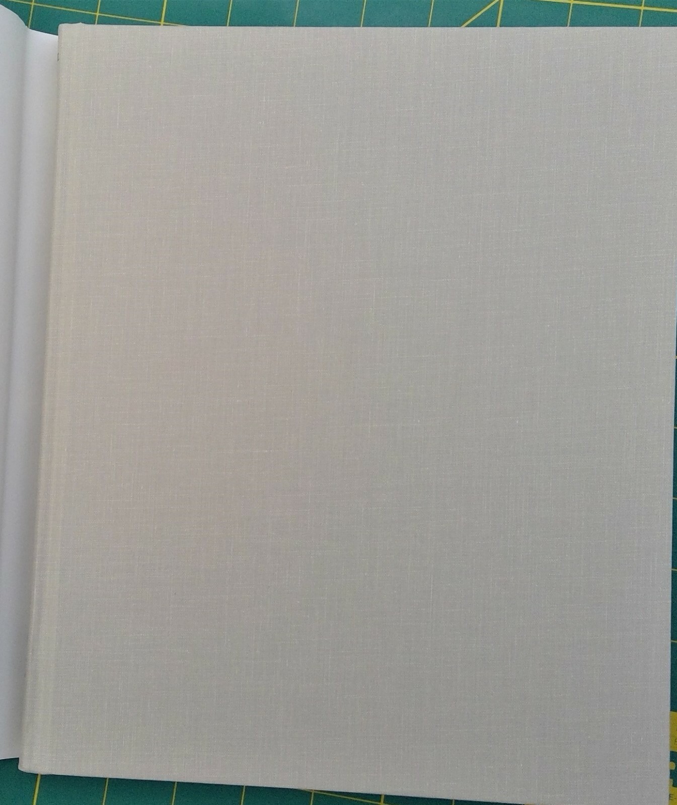 Envisioning Information by Edward R. Tufte signed 2001 illustrated hardcover DJ