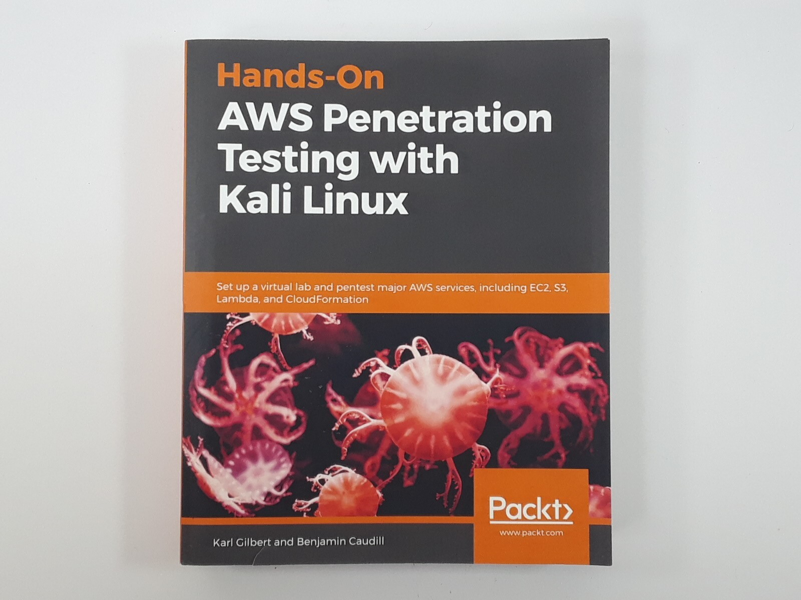 Hands-On AWS Penetration Testing with Kali Linux (Paperback)