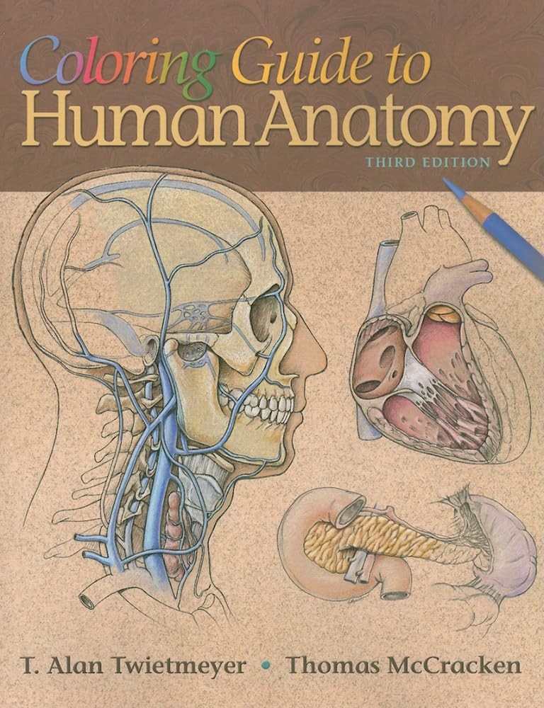 Coloring Guide to Human Anatomy – paperback Twietmeyer PhD, T. Alan|McCracke…
