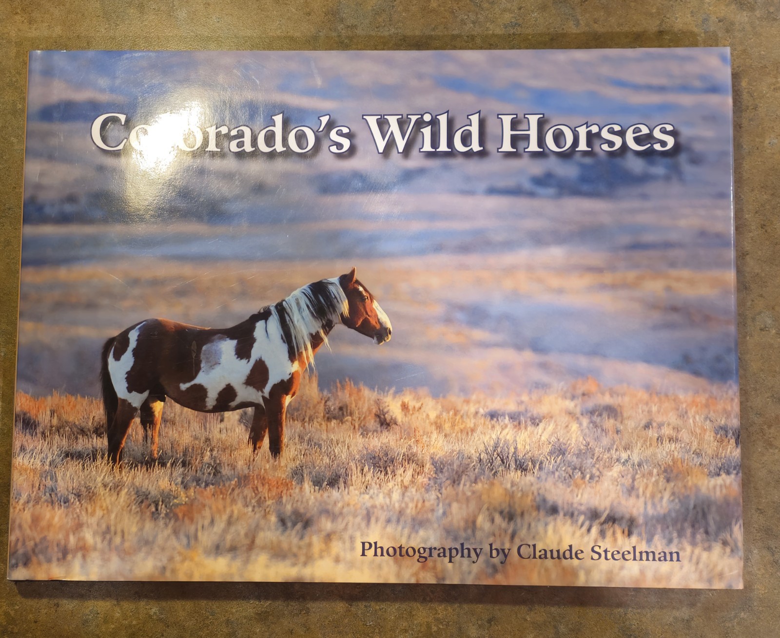 Colorado’s Wild Horses Claude Steelman 2008 First Edition