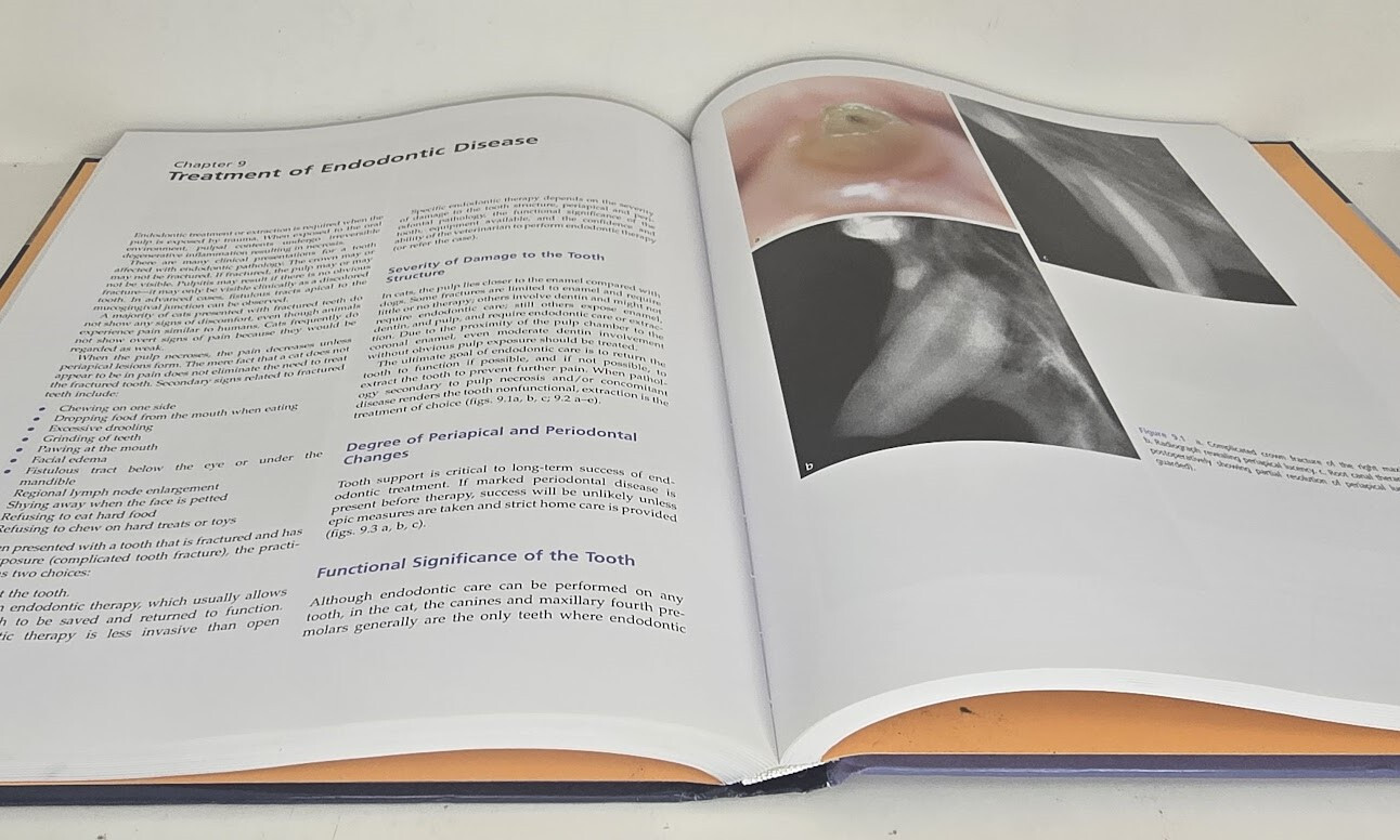 Feline Dentistry : Oral Assessment, Treatment, and Preventative Care Veterinary