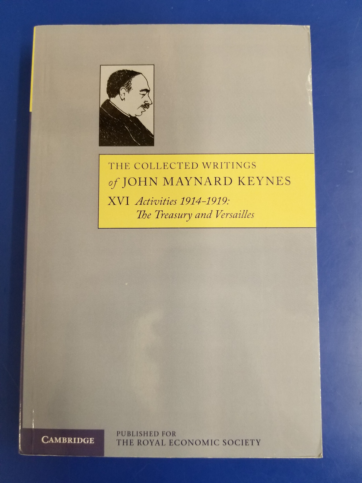 Collected Writings of John Maynard Keynes : Vol XVI Activities 1914-1919