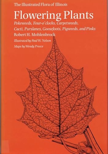 Flowering Plants: Pokeweeds, Four-o’clocks, Carpetweeds, Cacti, Purslanes, G…