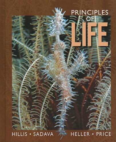 Principles of Life – Hardcover By Hillis, David M. – VERY GOOD