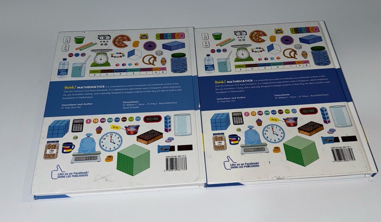 Think! Mathematics Textbook 5th Grade 5A & 5B Common Core Singapore Homeschool