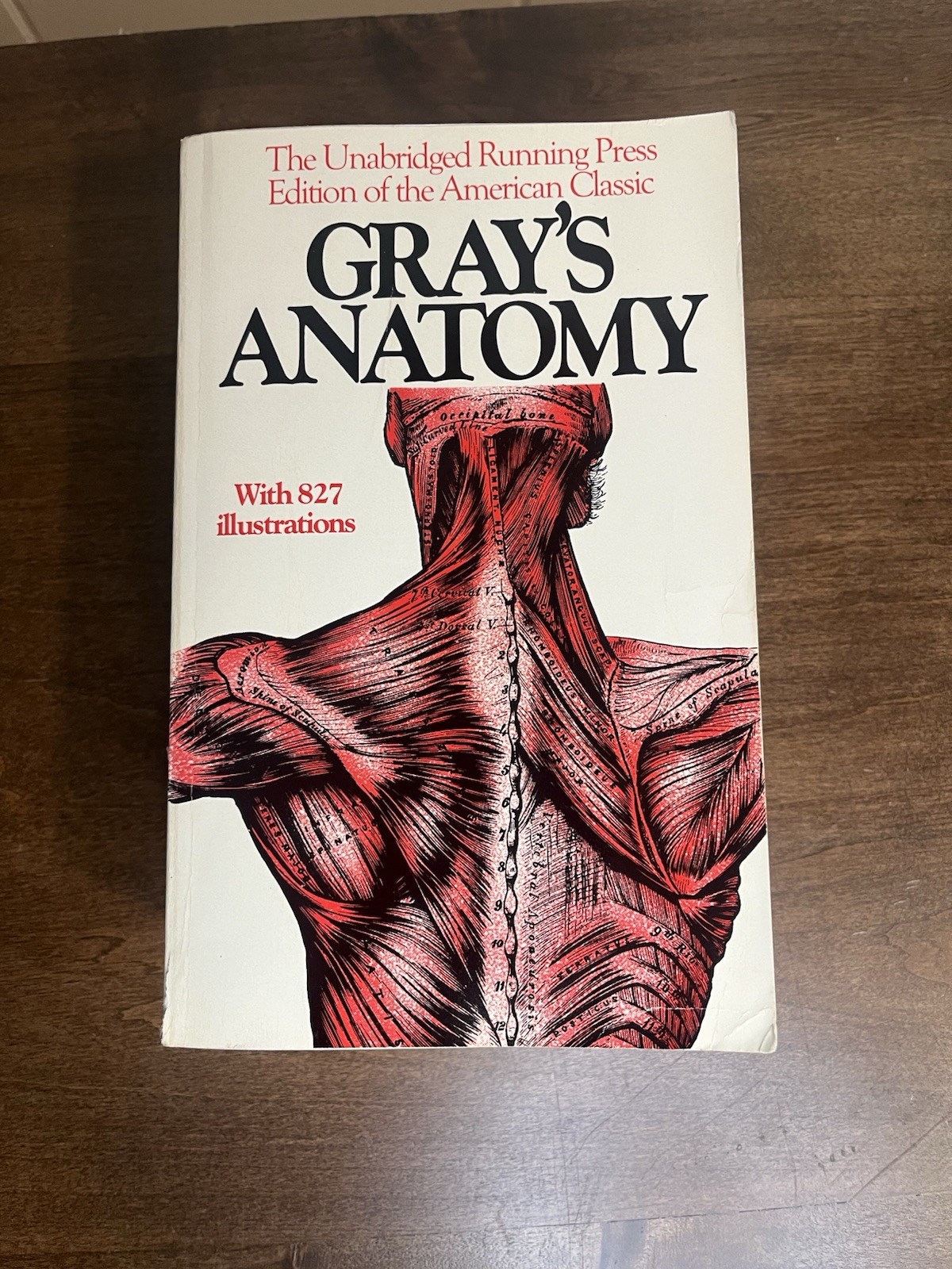Gray’s Anatomy : The Unabridged Running Press Edition of the American Classic by