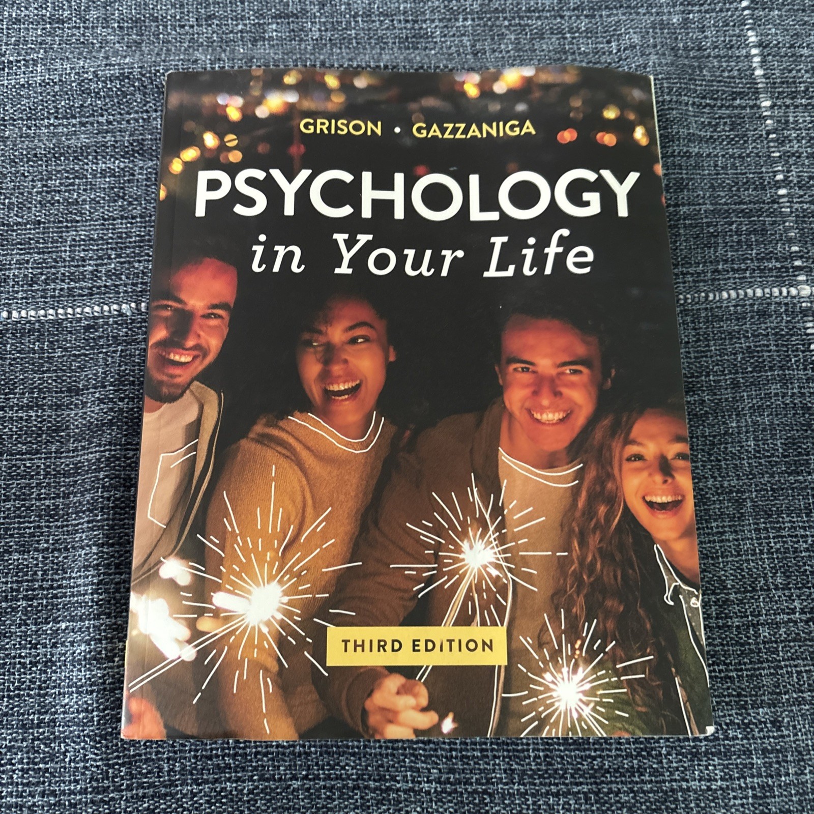 Psychology in Your Life, 3rd Edition BY Sarah Grison,Michael Gazzaniga PAPERBACK