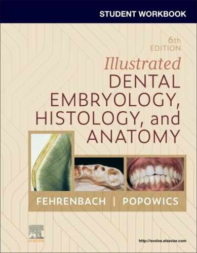Student Workbook for Illustrated Dental – Paperback, by Fehrenbach RDH MS – New
