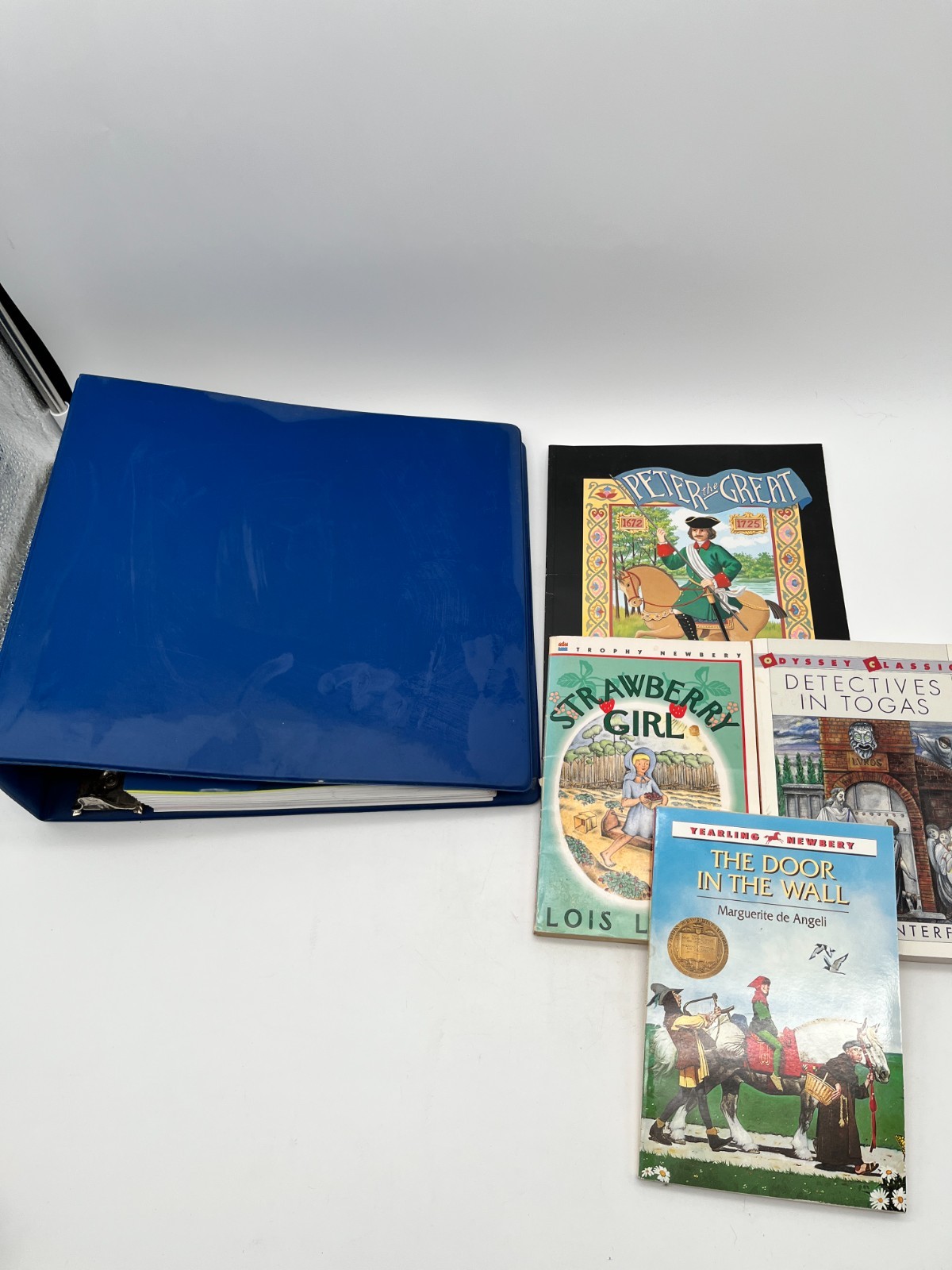Sonlight One Year Condensed World History Curriculum Binder + 3 Books Set