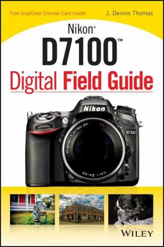 Nikon D7100 Digital Field Guide – Paperback, by Thomas J. Dennis – Very Good