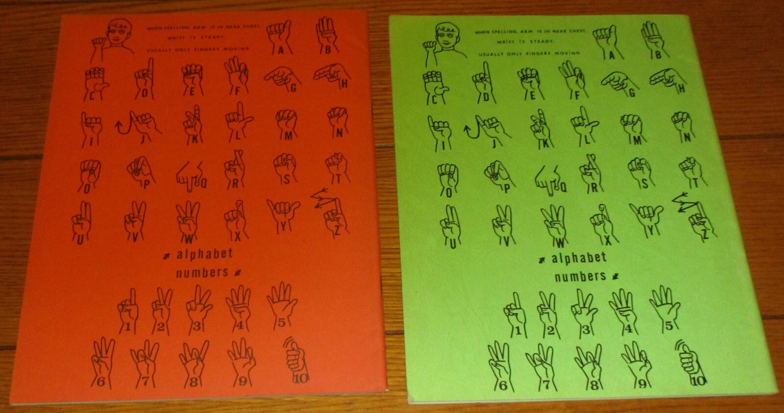 1973 Home in Signs and Animals in Signs Deaf Learning Children Books 44 Pages
