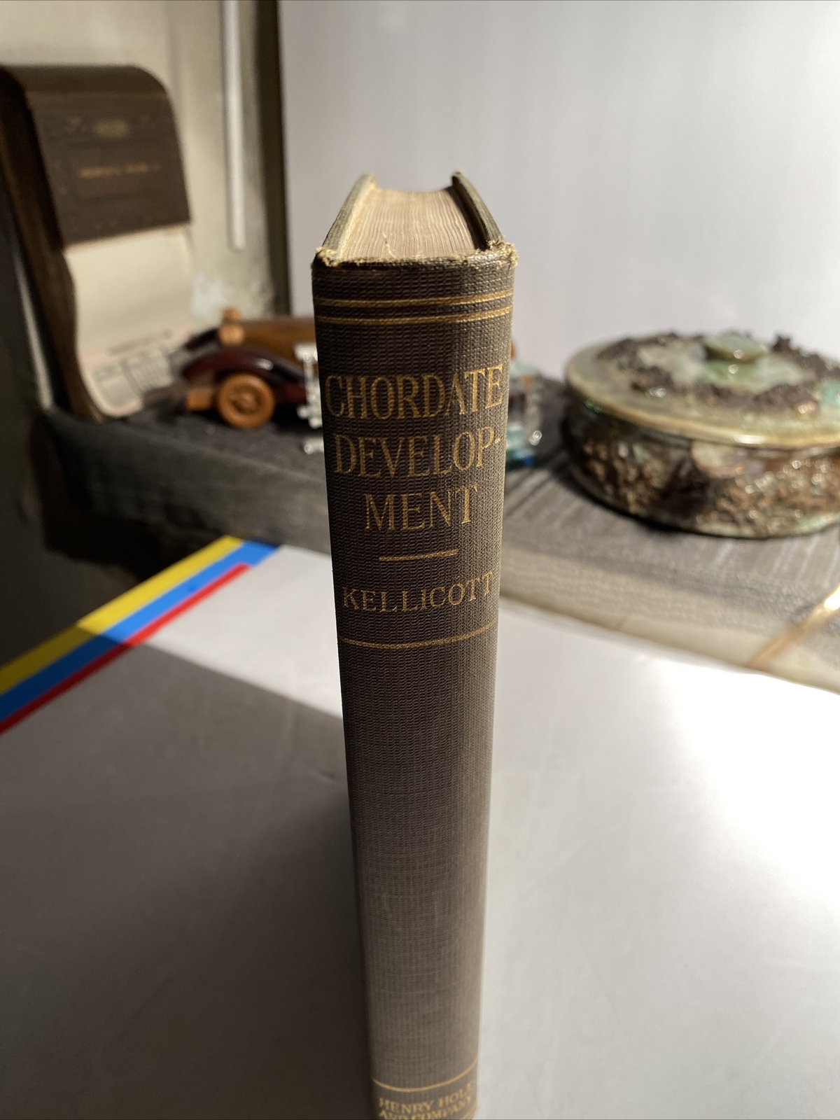 Chordate Development By William Kellicott 1913 Antique Text Book ab9
