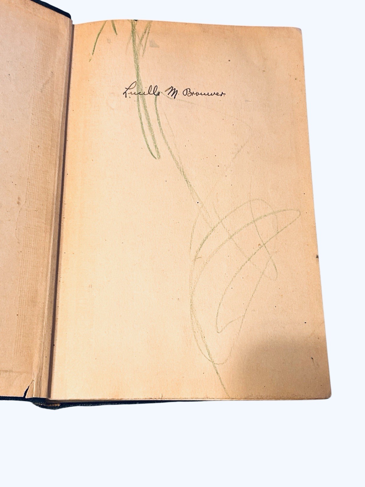 Textbook of Anatomy and Physiology by Kimber and Gray Seventh Edition 1927