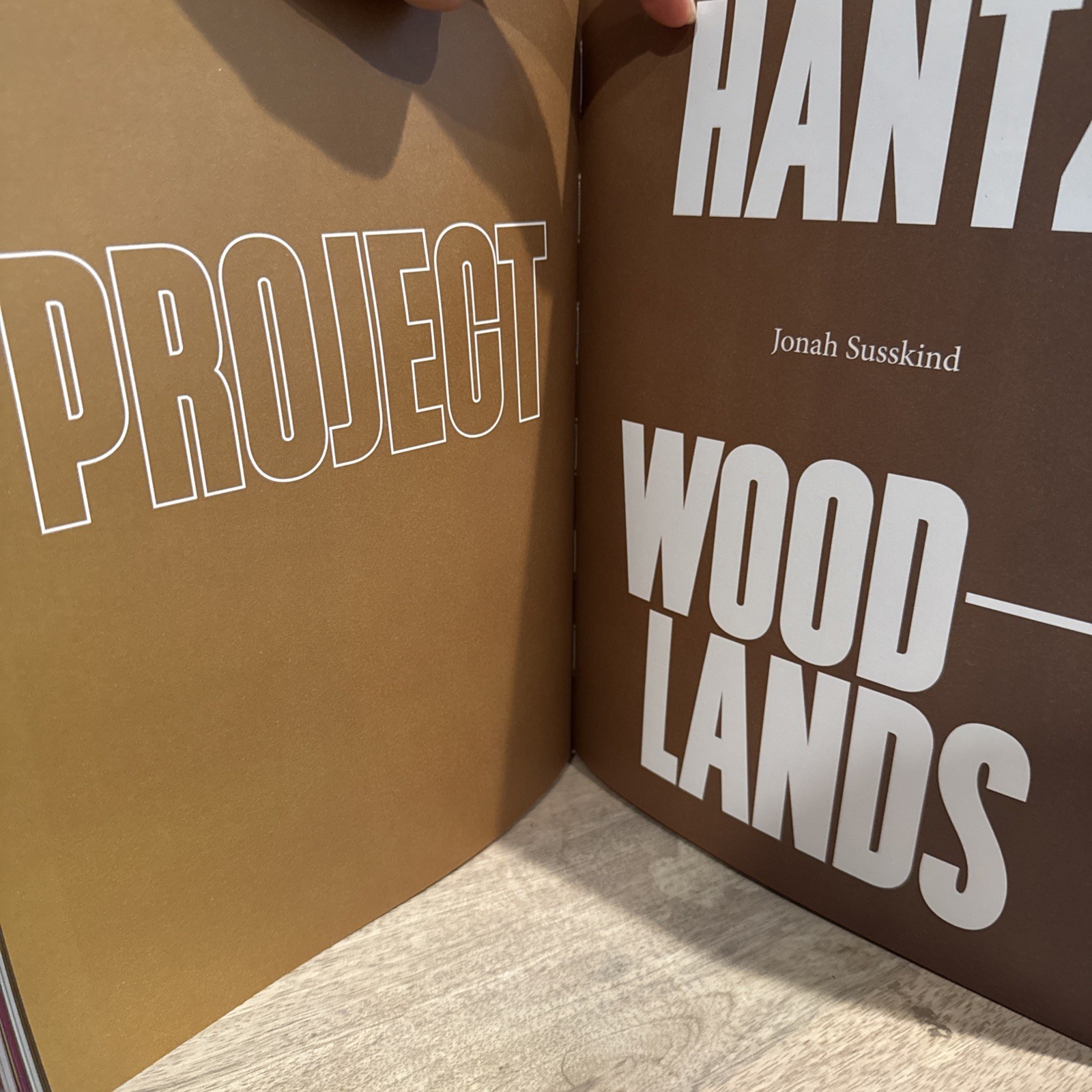Wood Urbanism : From the Molecular to the Territorial by Jane Hutton (2020,…