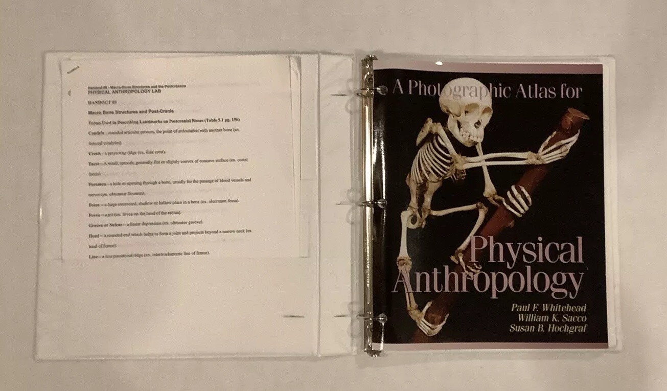 A Photographic Atlas For Physical Anthropology in Binder Book