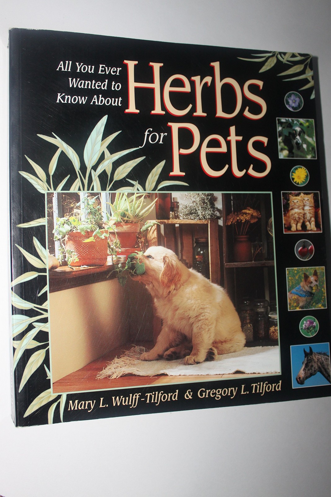 Herbs for Pets