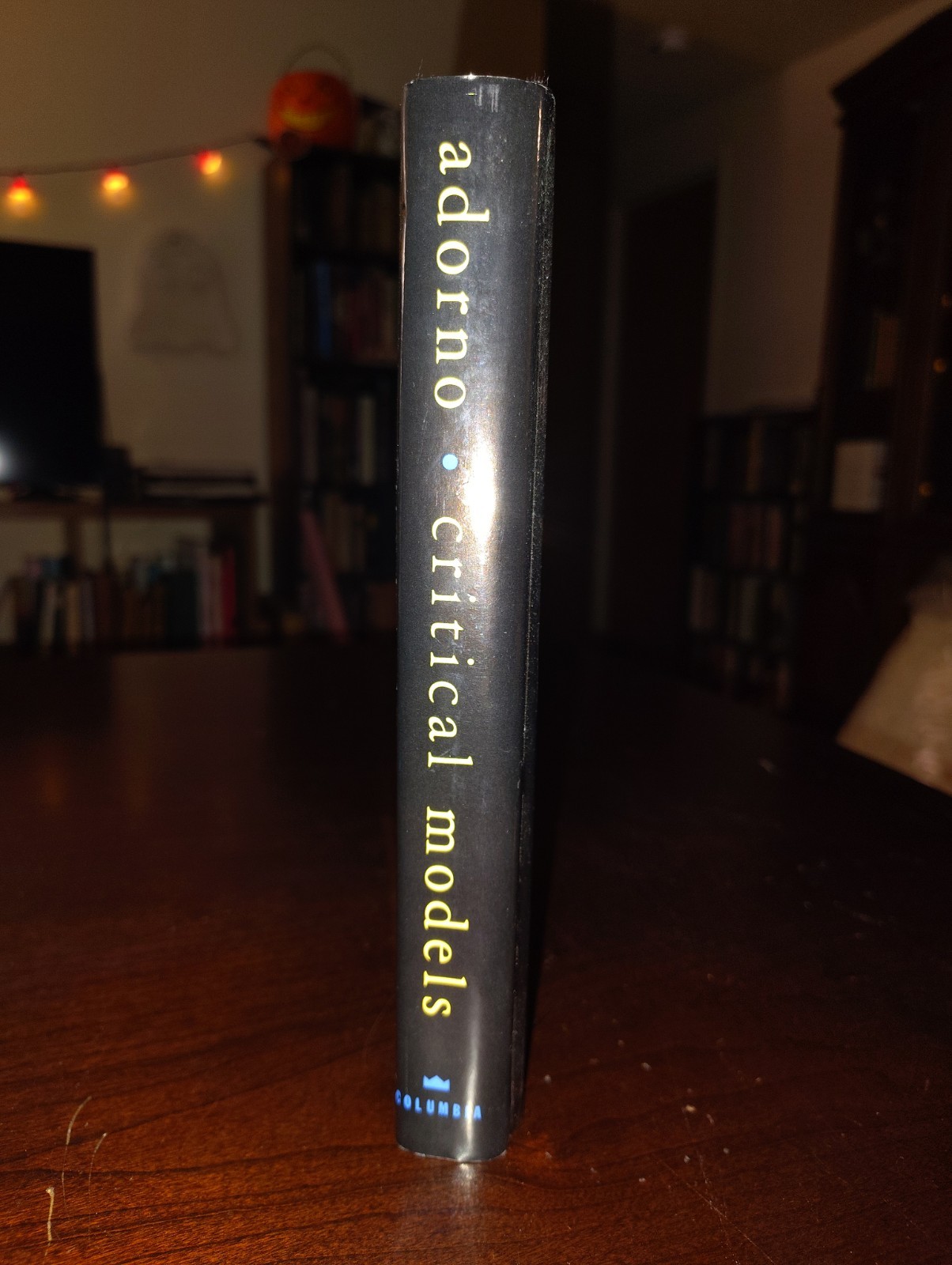 Critical Models: Interventions And Catchwords By Theodor W. Adorno ~ 1998 1st Ed