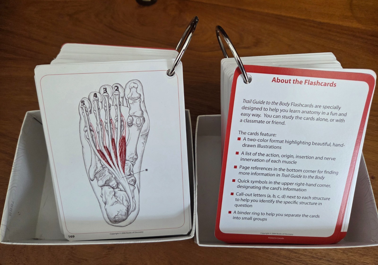 Trail Guide to the Body | Book & Flash Cards Vol 1 & 2 | 3rd ed | by Andrew Biel
