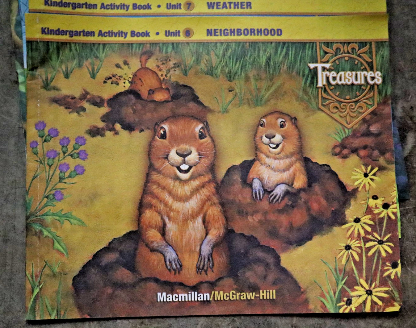 Treasures: Kindergarten Activity Books Units 1-10 + Start Smart ‘WE ARE SPECIAL’