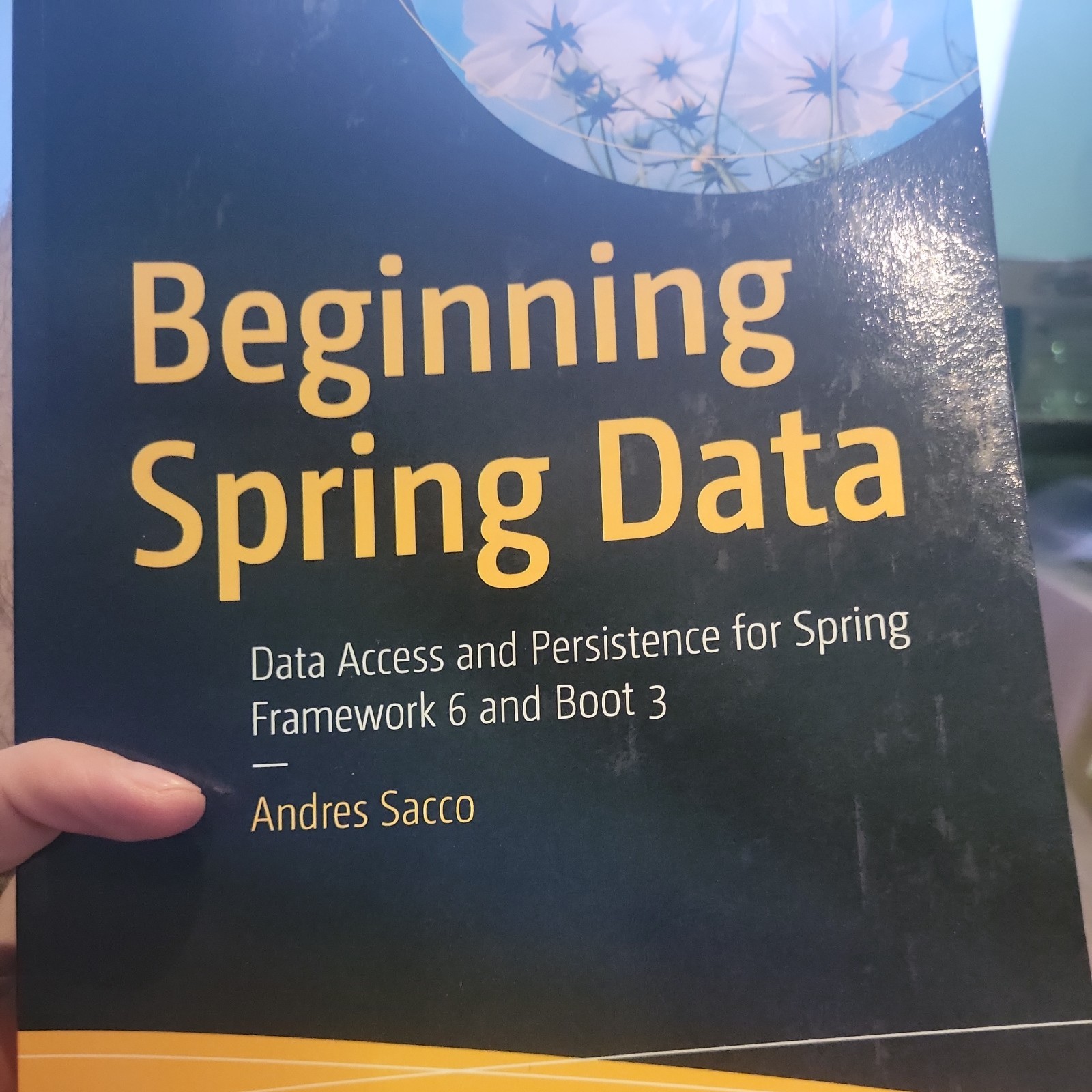 Beginning Spring Data : Data Access and Persistence for Spring Framework 6…