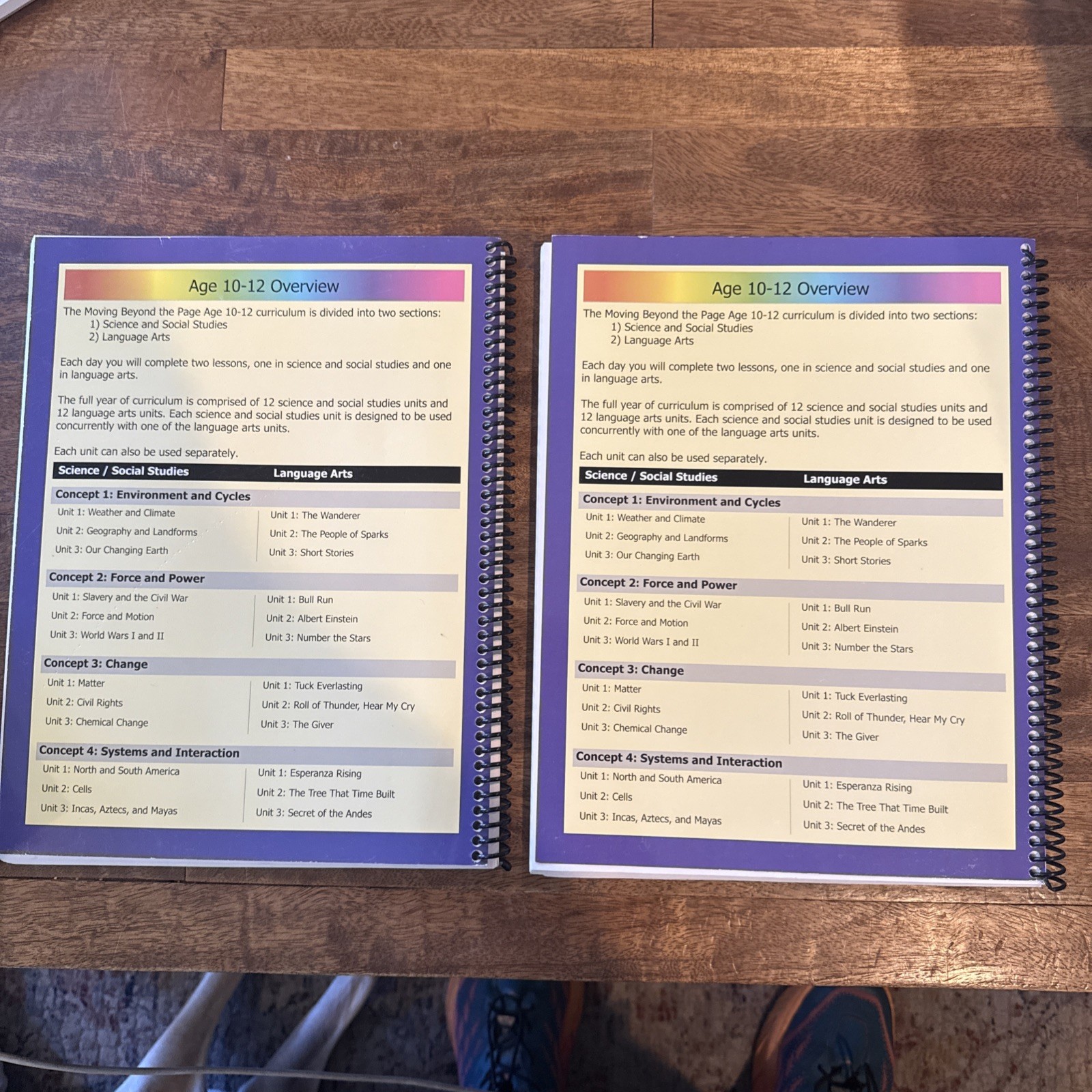 LOT OF 2 Moving Beyond the Page Ages 10-12 Language Arts UNUSED