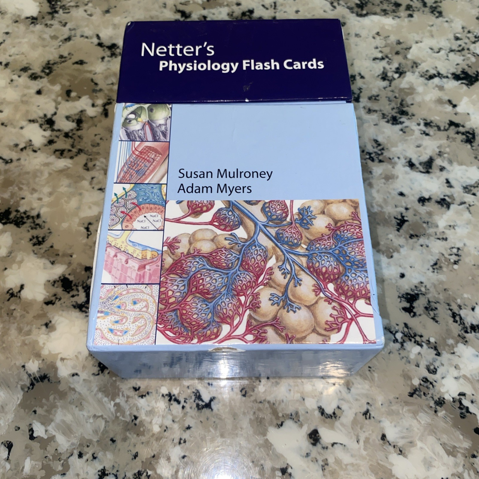 Netter Basic Science Ser.: Netter’s Physiology Flash Cards