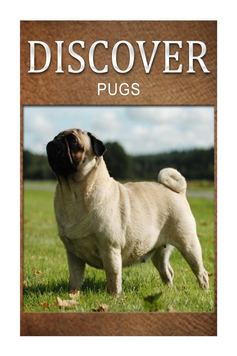 Pugs – Discover: Early reader’s wildlife photography book by Discover Press (Eng