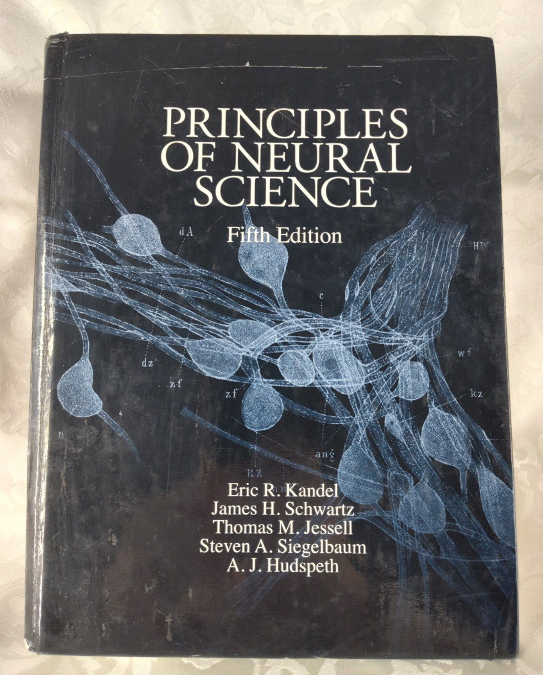 Principles Of Neural Science Fifth Edition Thomas M. Jessell 9780071390118 ST36