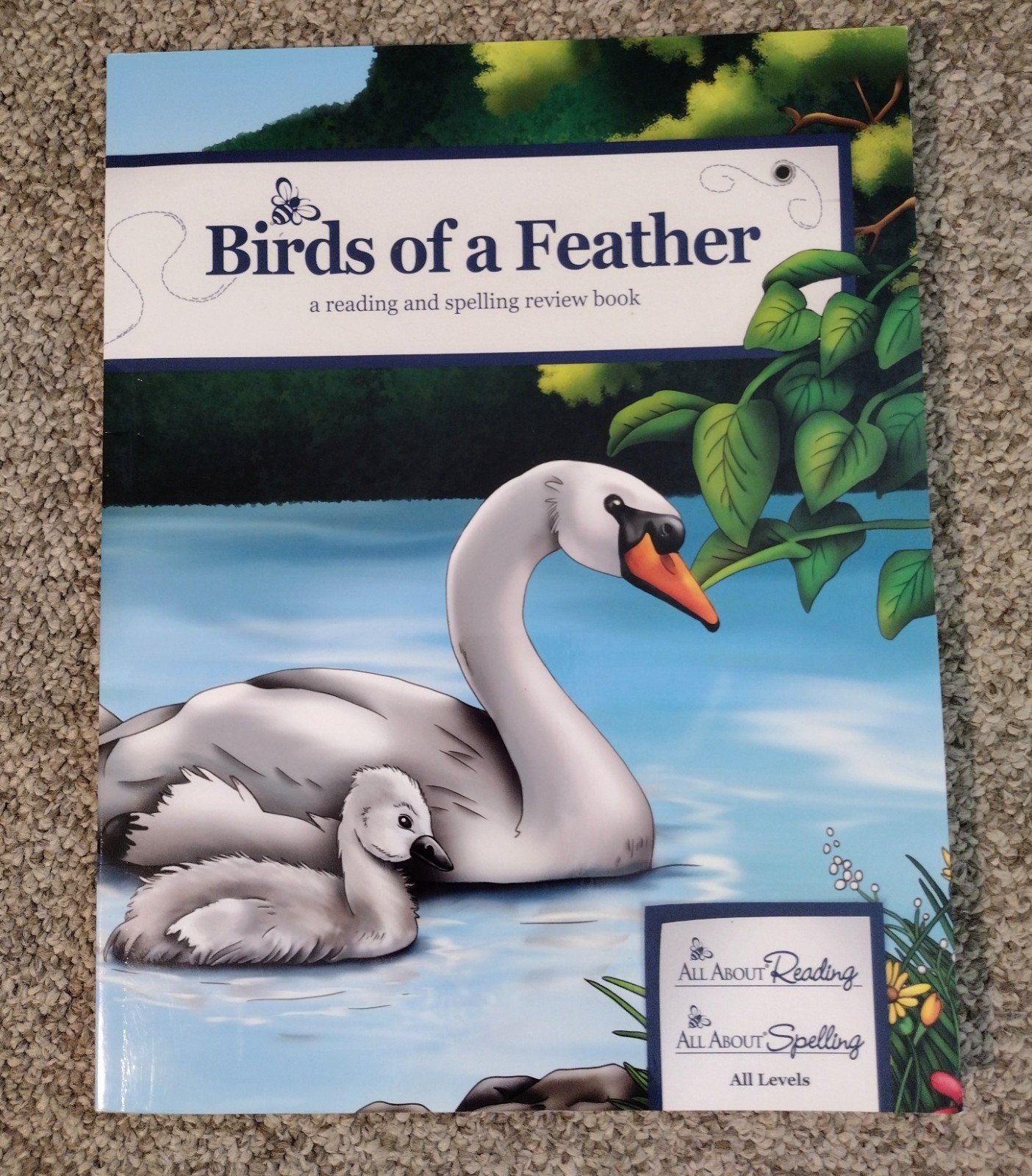 All About Reading/Spelling Birds Of A Feather Supplemental Workbook