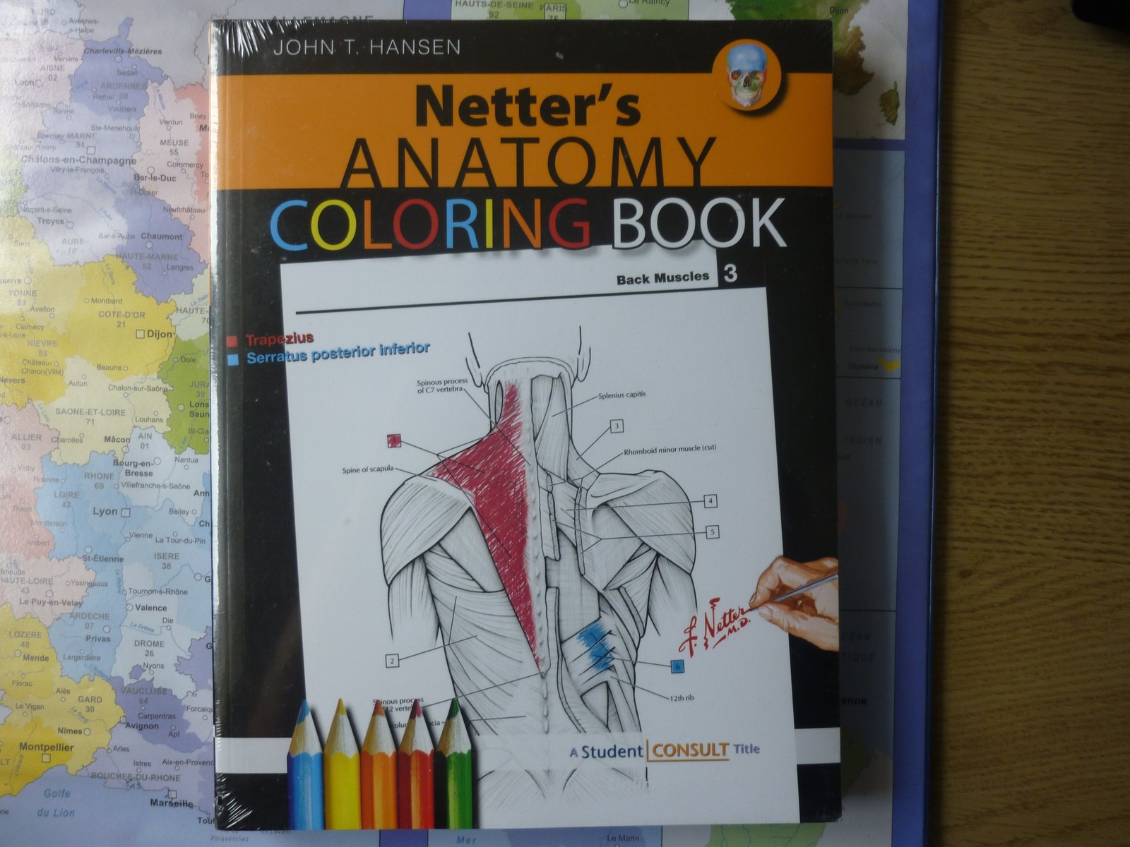 Netter’s Anatomy Coloring Book: with Student Consult Access (Netter Basic Sc…
