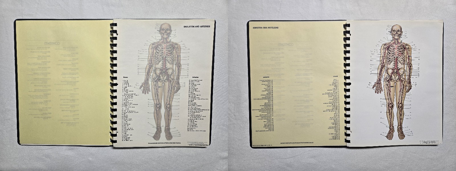 Schick Notebook Charts Human Anatomy Softcover Spiral Bound Book (1987)