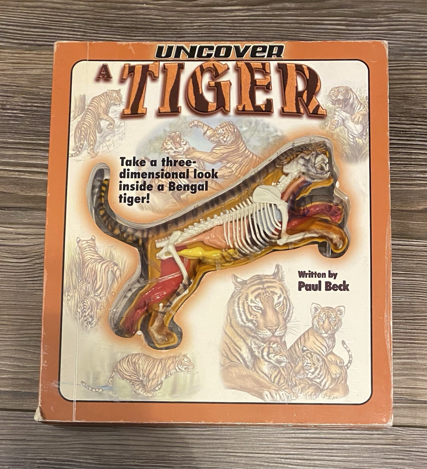 2007 UNCOVER A TIGER 3D Inside A Bengal Tiger Hardback Book. 16 Pages To Explore