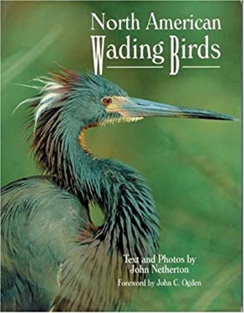 North American Wading Birds Paperback John Netherton