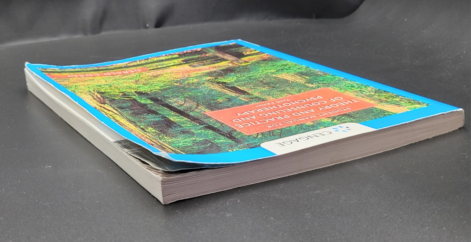 Student Manual for Theory & Practice of Counseling & Psychotherapy 10th Ed